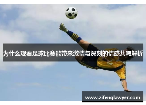 为什么观看足球比赛能带来激情与深刻的情感共鸣解析